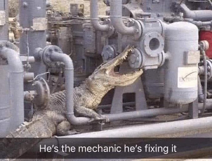 FznDAjLWAAAdiof.jpeg