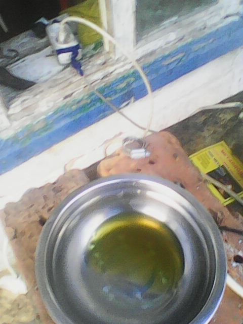 Photo0144.jpg