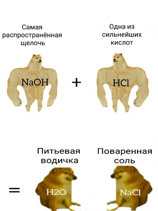 химия-наука-Мемы-Сиба-ину-6713101.jpeg