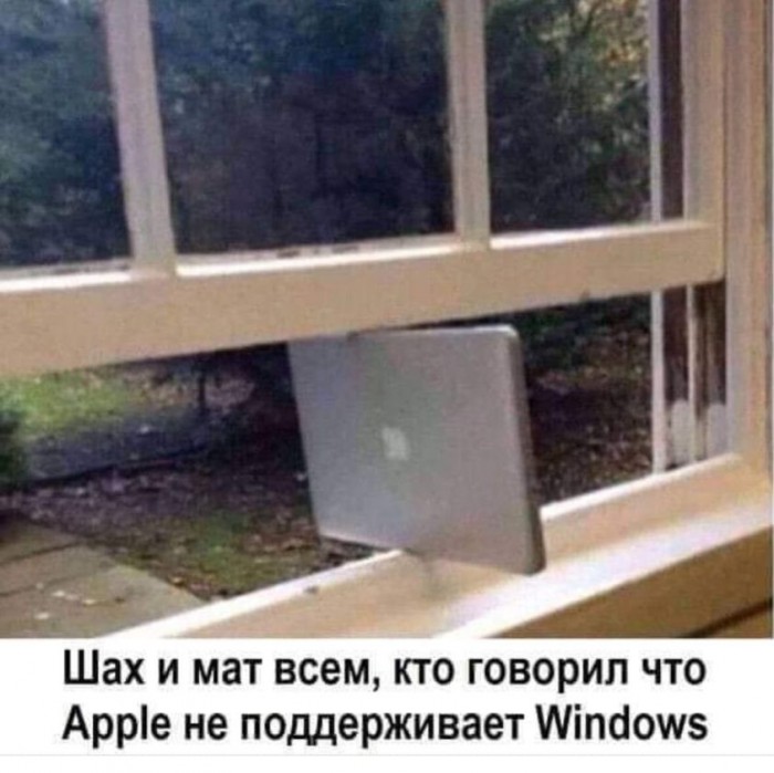 370548679_842114960618494_355382312490543936_n.jpg