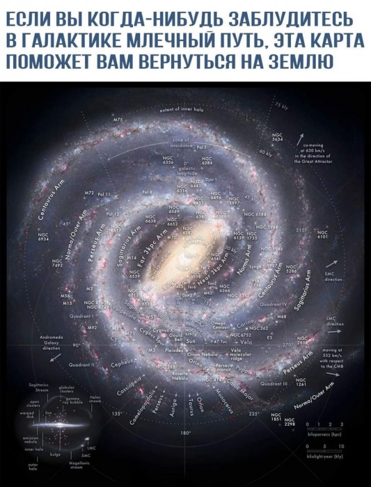 371976345_608521771481249_6173258023314625719_n.jpg