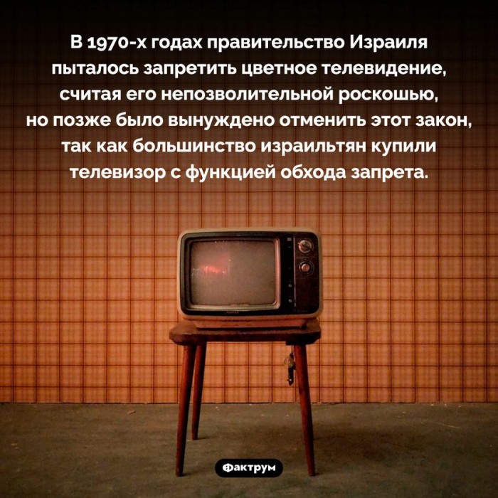 371485023_691230653049087_5225697705368088275_n.jpg