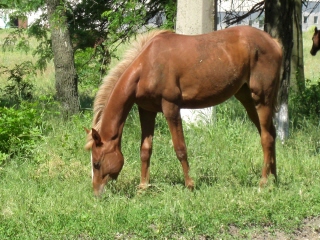 PO20080617_0004.jpg