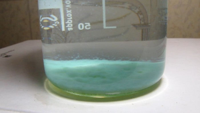 Lake_water_copper_sulfate-19.jpg