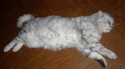 кайф.jpg