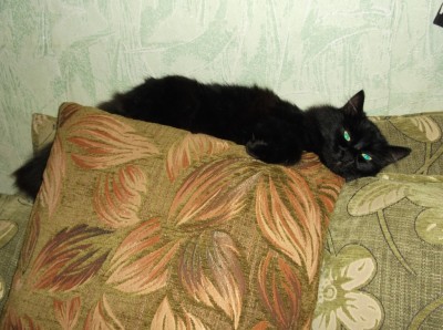 DSCF1603.JPG