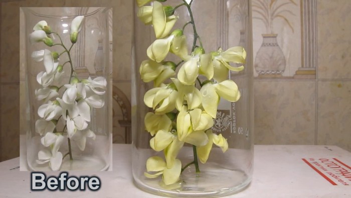 White_flowers_ammonia-11.jpg