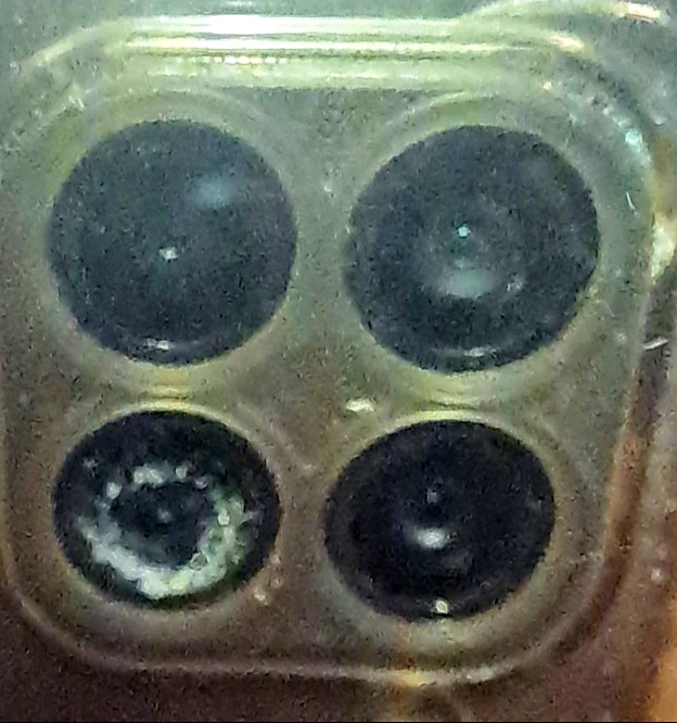 20241006_120232.jpg