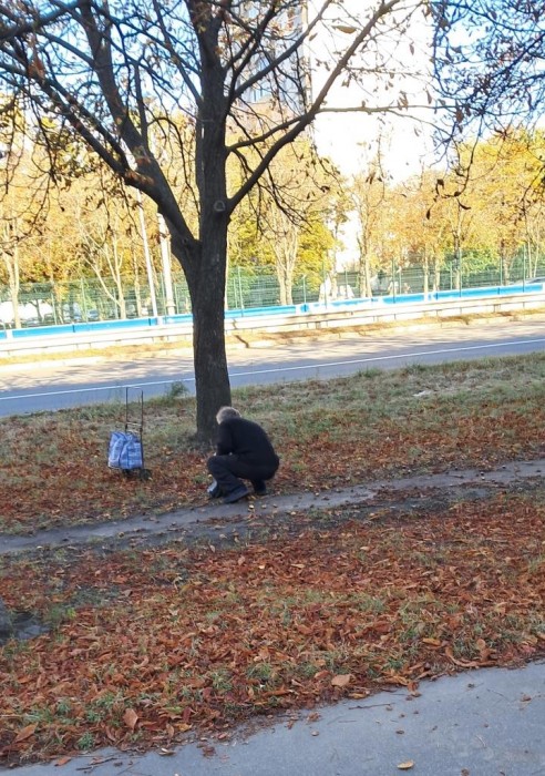 20241009_103844 - Copy.jpg