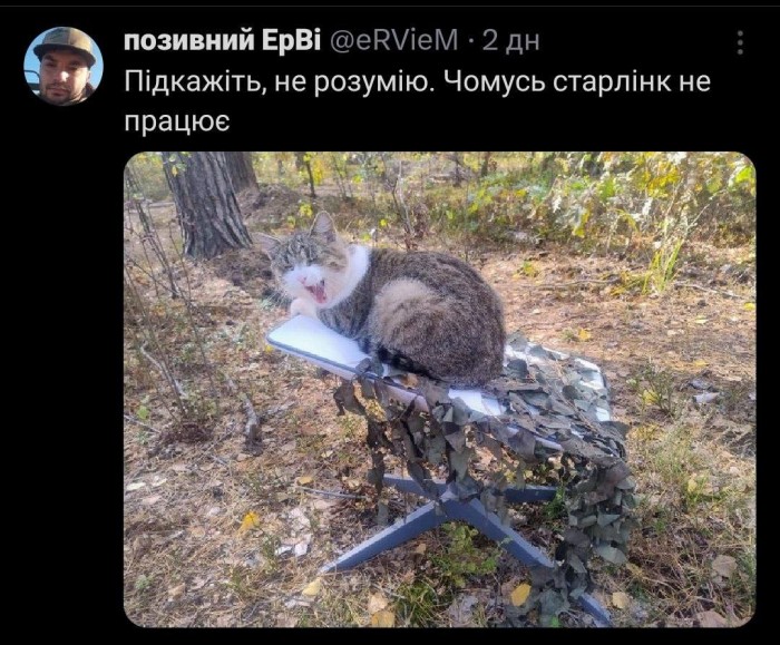 GZsGMDYXIAYa4OI.jpeg