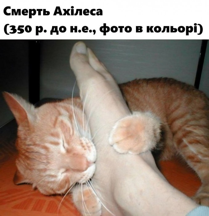 GaMKZDbX0AAknSy.jpeg