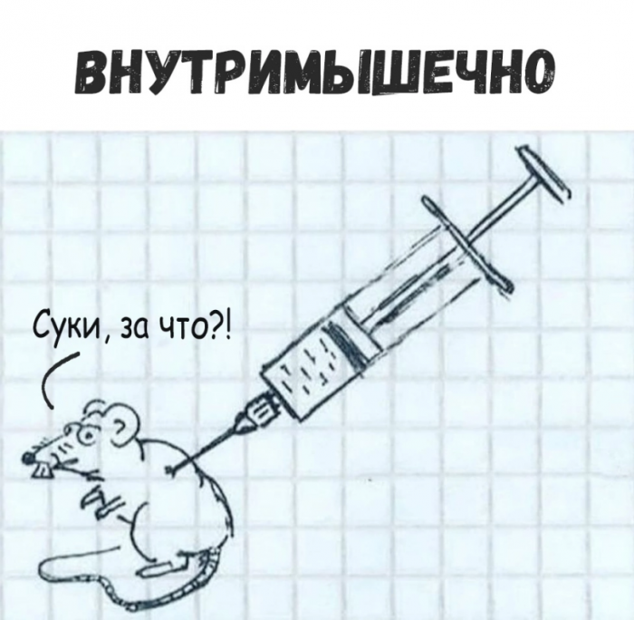 приколы-для-полных-дегенератов-мышь-карательная-медицина-8689979.png