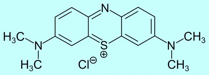 white_flowers-methylene_blue-1.jpg
