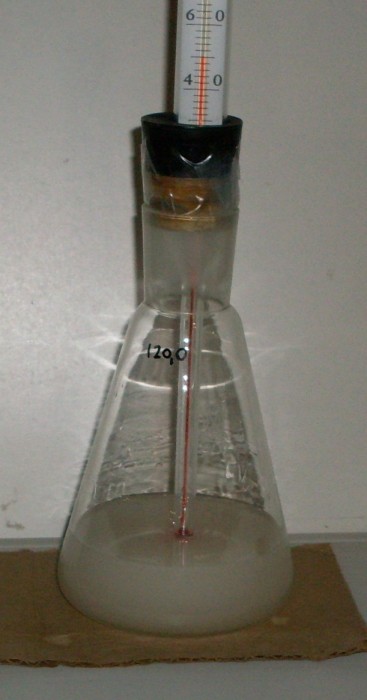 08.jpg