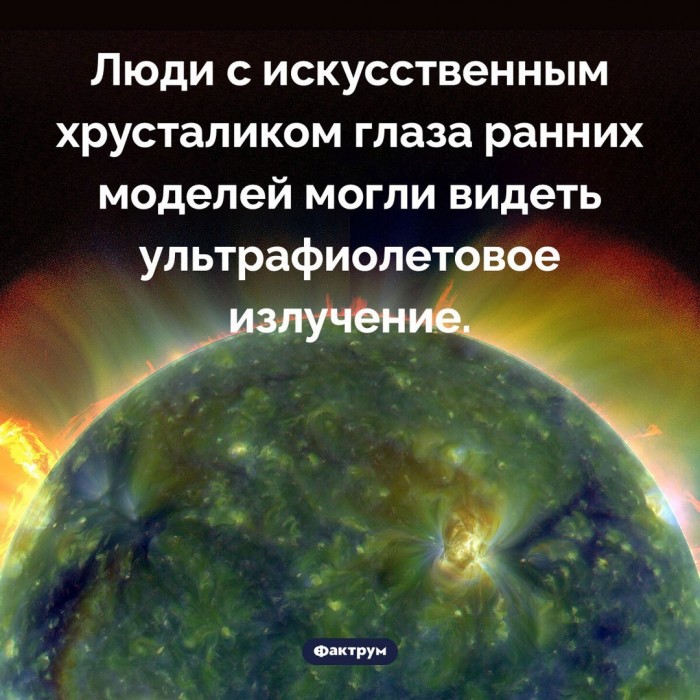 470970697_1535051637134800_4301010938864523741_n.jpg