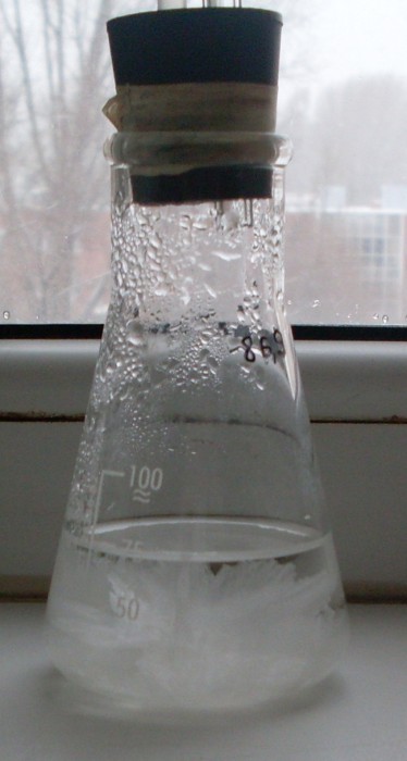 SDC10004_.jpg