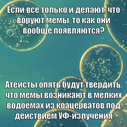 418431282_682816637385095_5050867522112415315_n.jpg