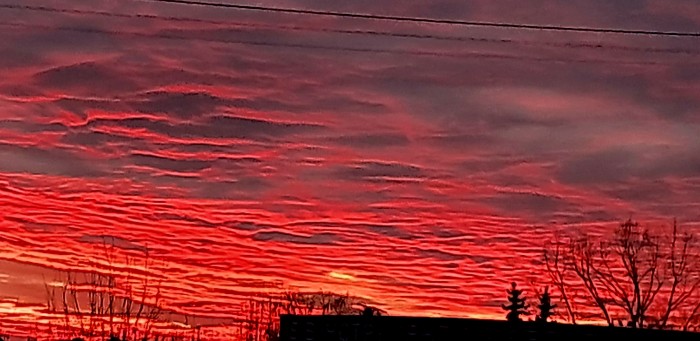 20250116_094854.jpg