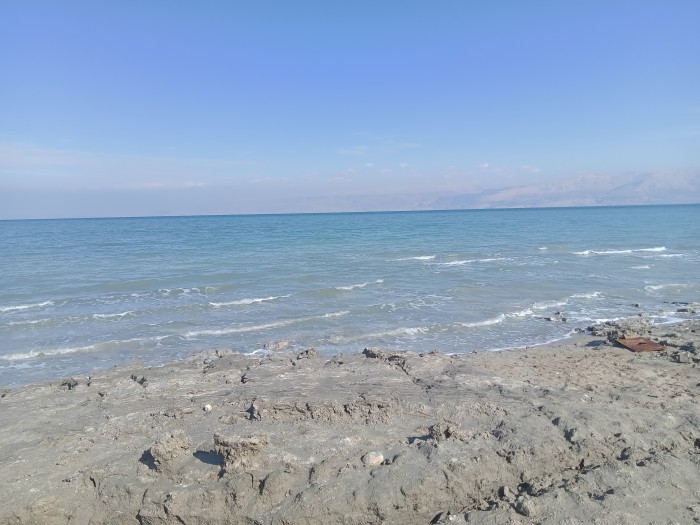 IMG20250125131154.jpg