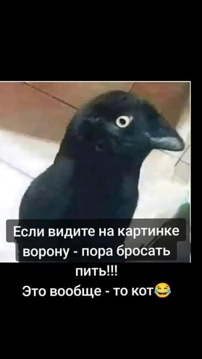 484811911_1675825239989453_3041662919775759513_n.jpg