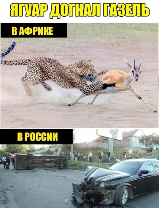 735fdb2869_otbornye-foto-prikoly-v-memah-14.jpg