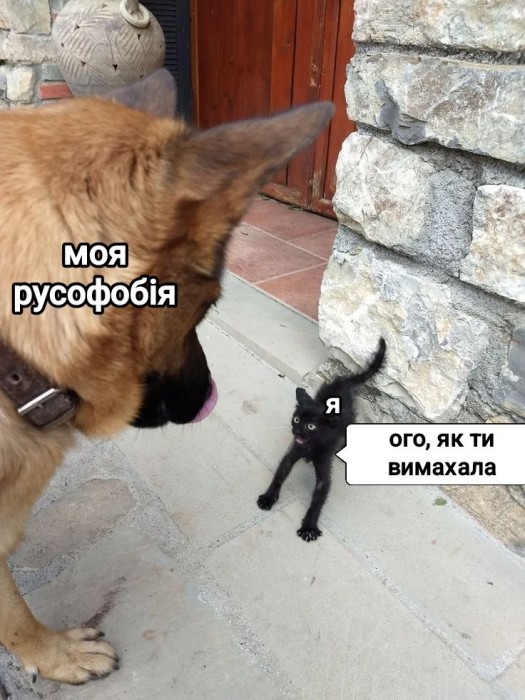 GryjS5VXMAEr-Kj.jpeg
