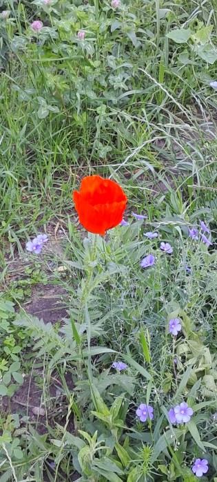 20250531_160920.jpg