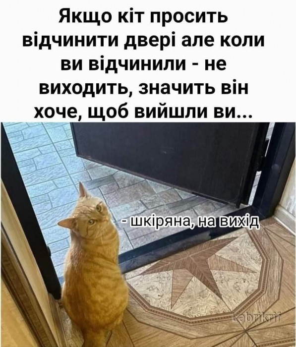 GteDpLxXAAA5qlP.jpeg