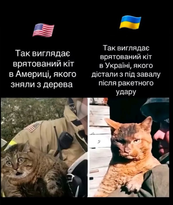 GwZMfvEXwAARzNT.jpeg