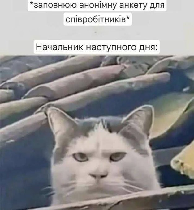Gn4NdVdXAAASueF.png