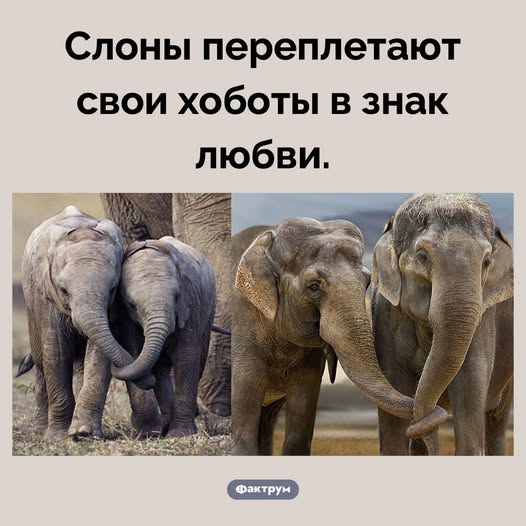 543180649_1209785754526905_3734658275854993012_n.jpg