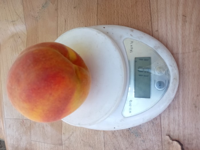 20250826_100812.jpg