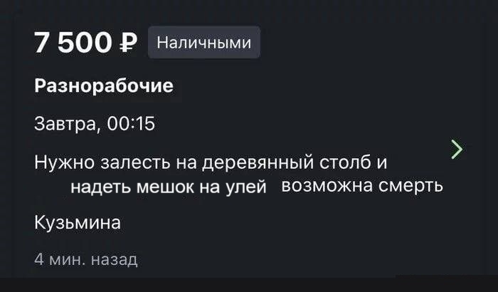 видеогифки-гифки-осы-5624899.jpeg