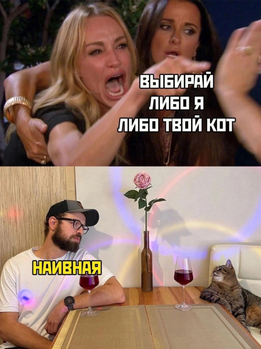 loveyouStepan-котэ-Woman-Yelling-at-a-Cat-9093053.png