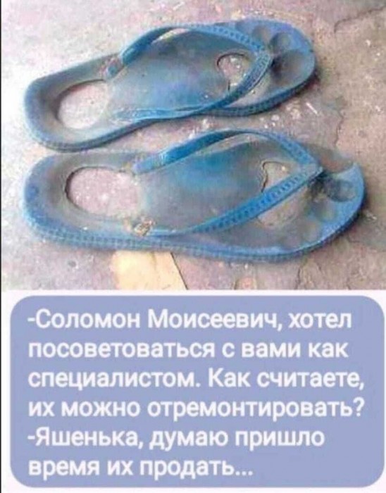 twitter-интернет-жена-5626635.jpeg