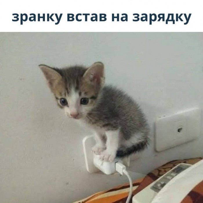 G29HtYrWkAArHCt.jpeg