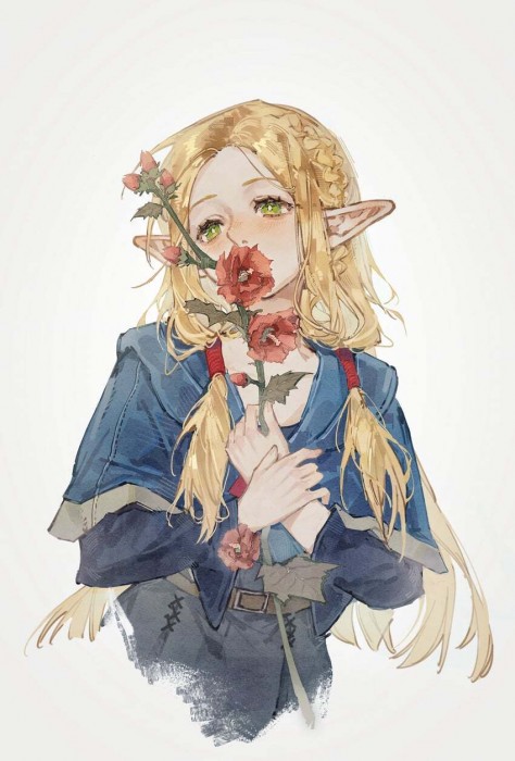 huaique-Marcille-Dungeon-Meshi-9121231.jpeg