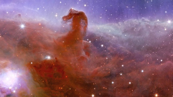 Туманность Конская Голова в созвездии Ориона.Снимок с космического телескопа «Евклид».jpg