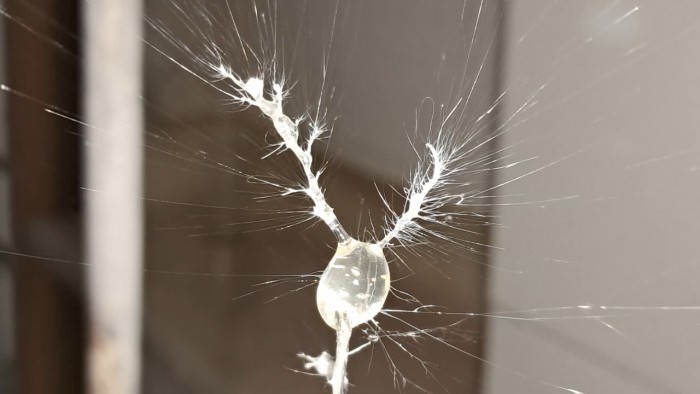 Electrospinning_ Polystyrene_Methylene_Chloride-12.jpg