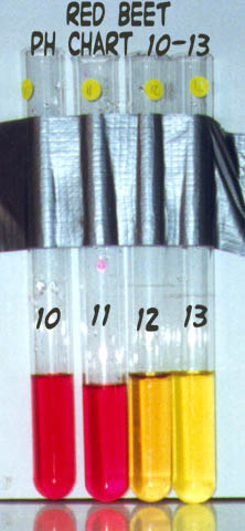 ph-redbeet.jpg