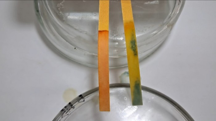 Universal_Indicator_Paper-b20.jpg