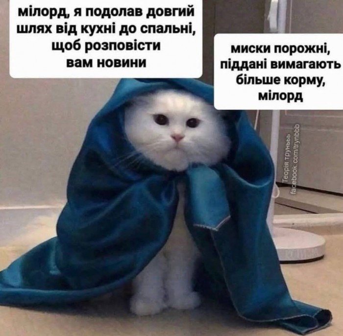 HGvQYhxaUAAc_X7.jpeg