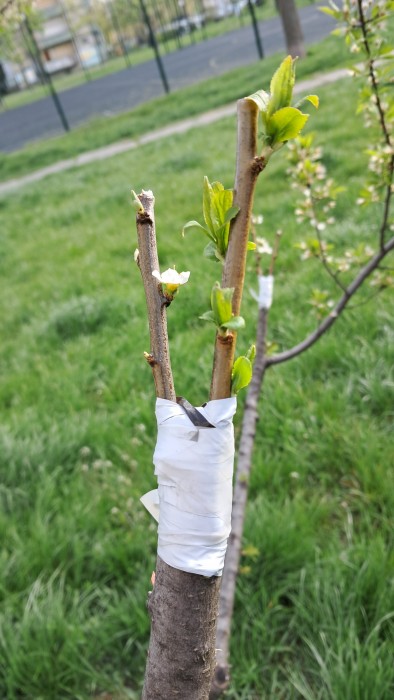 20260425_170951(1).jpg