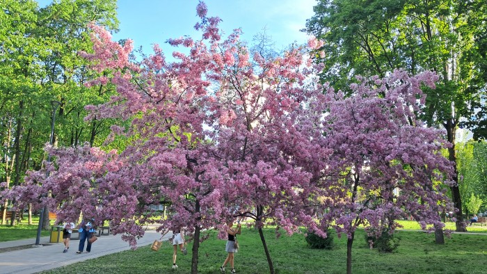 20260507_180122.jpg
