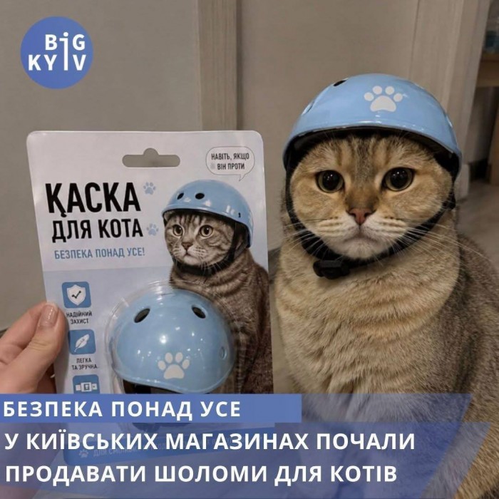 HIsAPosXEAA3Osy.jpeg