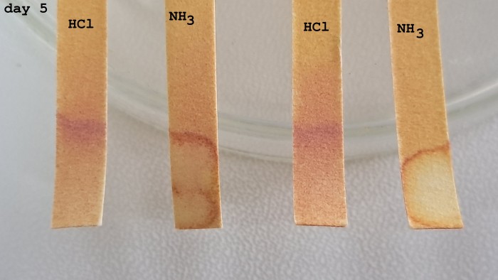 Universal Indicator Paper-5d.jpg