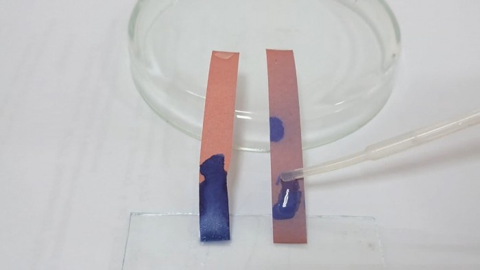 Litmus_Paper-8a.jpg
