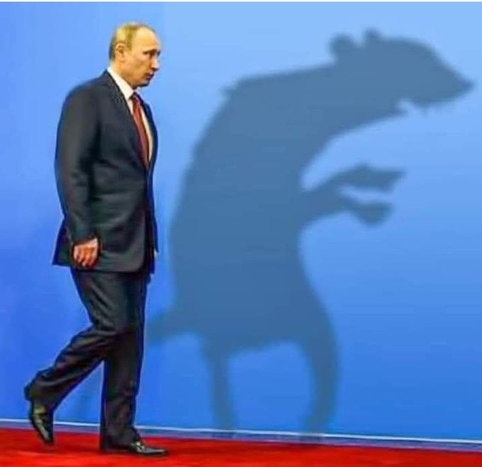 HJwKZQIXMAEkoQ9.jpeg