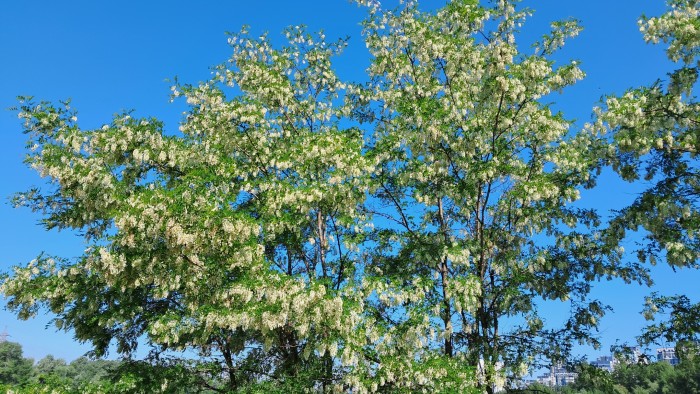 20260523_094159.jpg