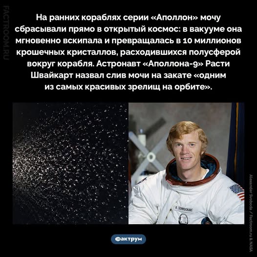733041217_985130484145683_2050815261718947846_n.jpg
